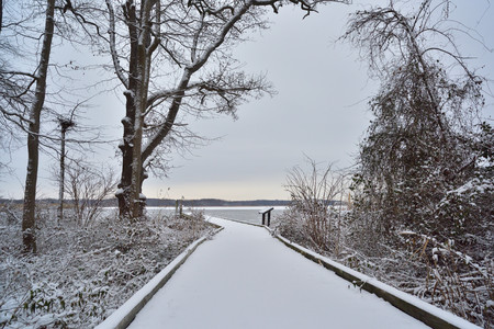 Winter in Baltimoreの写真素材