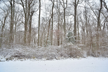 Winter in Baltimoreの写真素材