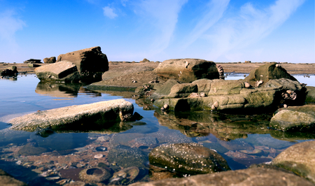 Rock pools on a bright day