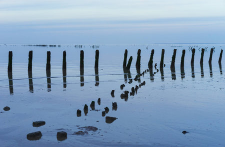 A criss-cross pattern of poles along the Frisian coast of the Wadden Sea, around sundown.の写真素材