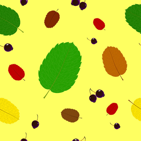 Pattern of leaves and berries saskatoonのイラスト素材