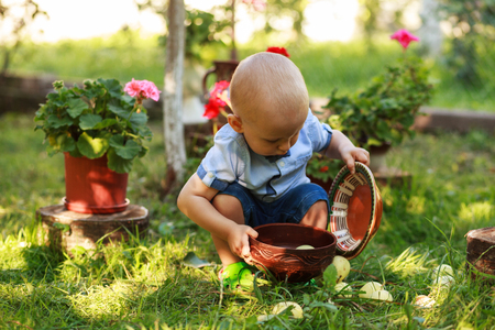 Little boy picking apple in fruit garden. Outdoor fun for children. Healthy nutrition.の写真素材