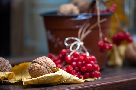 Autumn composition with nuts, guelder rose, leaves. Viburnum opulus. Selective focus. Autumn rustic...
