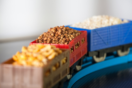 Wagons with grain of buckwheat, rice and peas. Grain Cultures.の写真素材