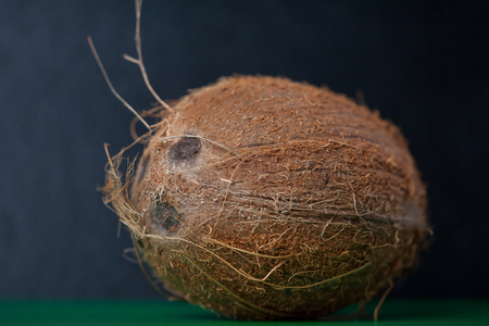 Big coconut close-up isolated on a black background. Fresh, ripe and organic fruit of coconut.の写真素材