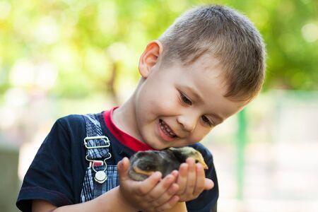 Little boy holding a baby chick on a farm. Portrait of little boy with chick outdoors at the day time. Concept of happy life.の写真素材
