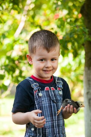 Little boy holding a baby chick on a farm. Portrait of little boy with chick outdoors at the day time. Concept of happy life.の写真素材