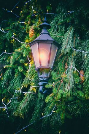 Green prickly branches of spruce or pine. Pine cone on the fur-tree. Beautiful Winter Decoration Christmas Card.の写真素材