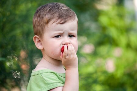 Cute little boy eats strawberries. Age 2 years.の写真素材