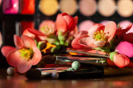 Eye shadows palette and brushes. Makeup moody background. Shallow depth of fieldの写真素材