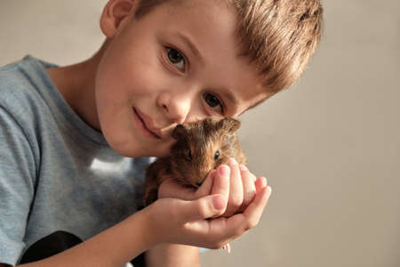 Portrait of happy smiling little boy hugging brown guinea pig. Adorable little child with pet play....