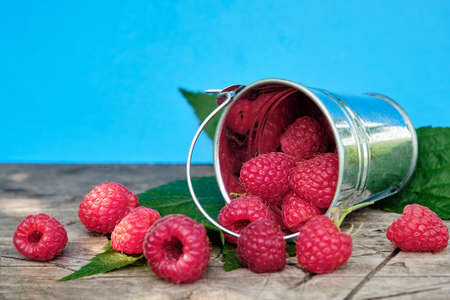 Fresh ripe raspberries in a metal small bucket on a wooden old table. Juicy raspberry full of...