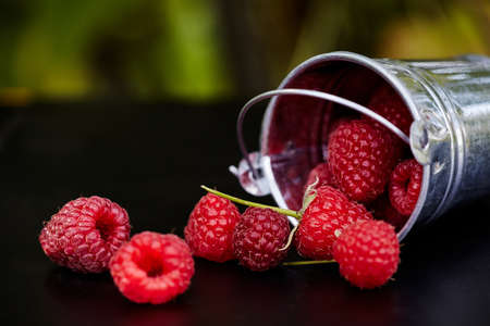 Fresh ripe raspberries in a metal small bucket on black background. Juicy raspberry full of vitaminsの写真素材