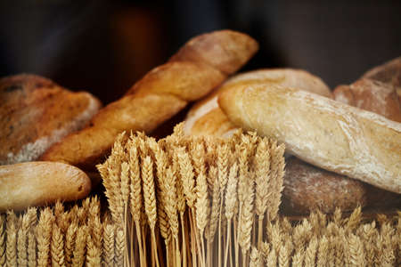 Ears of golden wheat in close-up. Assorted crispy fresh bread with wheat spikelets. Concept Rich Harvestの写真素材