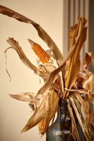 A stylized bouquet of leaves and corn cobs. Dry corn in a glass bottle. yellow dry ripe cornの写真素材