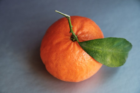 Ripe tangerine with leaves isolated on silver background.の素材 [FY310196291458]