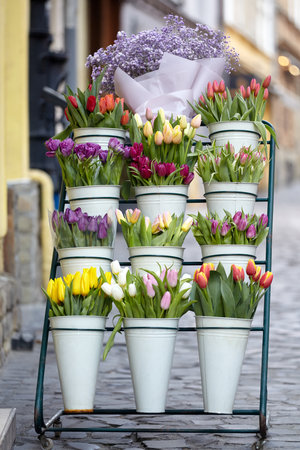 Market stands with sell of tulip flowers. Advertising stand with multicolored tulip flowers.の写真素材