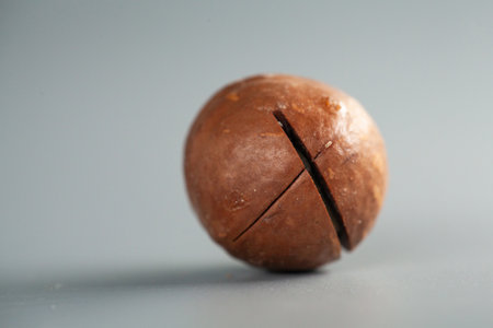 Close-up, studio-style photograph of a single macadamia nut. Shot is focused on the nut,...