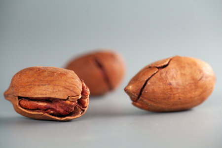 Close-up view of pecan nuts, still nestled in their cracked shells, highlights their warm, earthy...