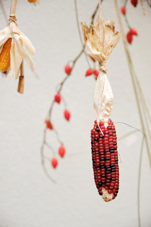 Close-up shot of a decorative cob of Indian corn hanging from a string, with branches of red berries...