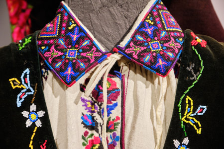 detailed close-up of the collar and vest of a traditional Ukrainian embroidered costume, showcasing...