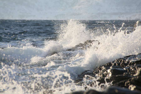 Wavesの写真素材