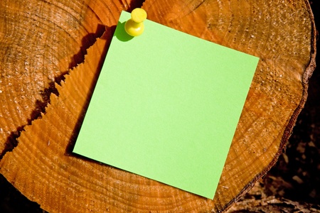 A post-it note on a sawn logの写真素材