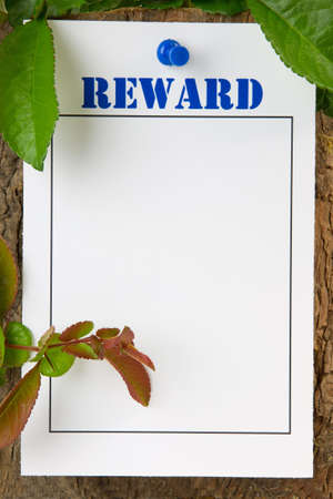 Reward notice pinned to a tree trunk - with copy spaceの写真素材