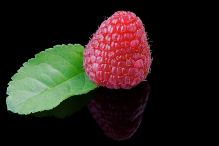 Close up of a raspberry on black, with reflection