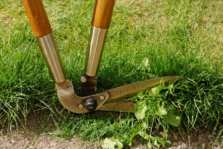 Close up of a pair of shears trimming the edge of a garden 