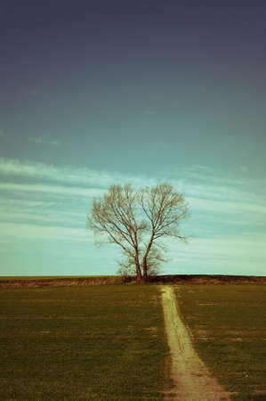 Landscape with a footpath in winter. Lomo, aged retro faded effetcの写真素材