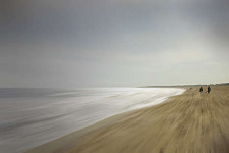 Unidentified people walking dogs on a beach in the UK