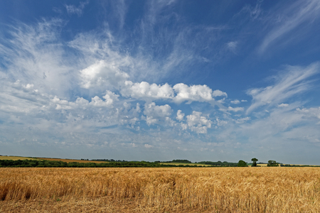 View over the farmland of the Lincolnshire Wolds,UK, in summerの写真素材