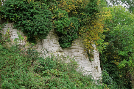 Close up of the chalk face of an old quarry in the UKの写真素材