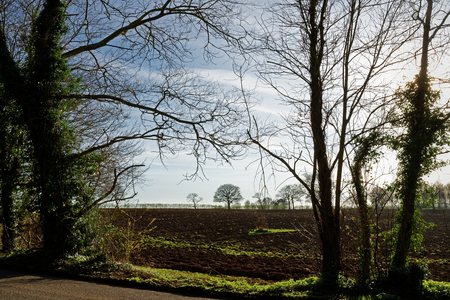 Ploughed fields in the Lincolnshire Wolds,UK,in Springの写真素材