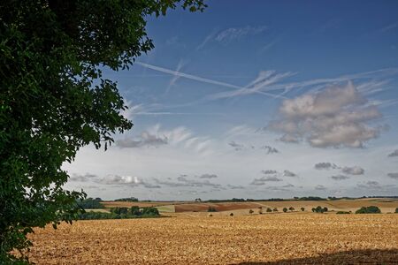 View across the farmland of the Lincolnshire Wolds,UK,in late summerの写真素材