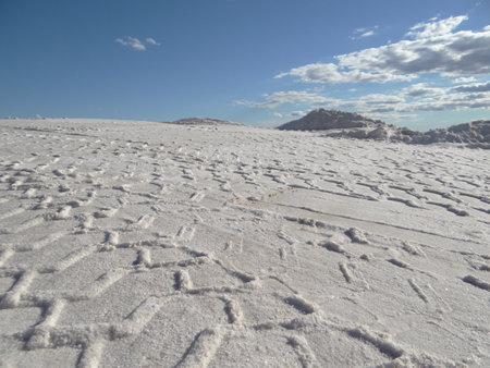 traces of truck in salineの写真素材