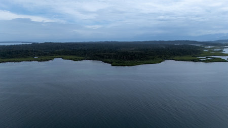 Panama.Tropical Island Aerial View. Wild coastline lush exotic green jungle. Cayo Coral. Red Frog...
