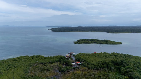 Panama.Tropical Island Aerial View. Wild coastline lush exotic green jungle. Cayo Coral. Red Frog Beach in Bastimentos Island, Bocas del Toro, Central America, Panama.の写真素材
