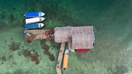 Panama. Tropical Island Aerial View. Wild coastline lush exotic green jungle. Cayo Coral. Red Frog Beach in Bastimentos Island, Bocas del Toro, Central America, Panama.の写真素材