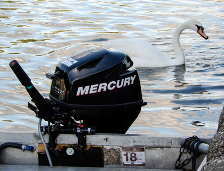 A Mercury 9.9 four stroke outboard motor and a mute swan on the River Thamesのeditorial素材