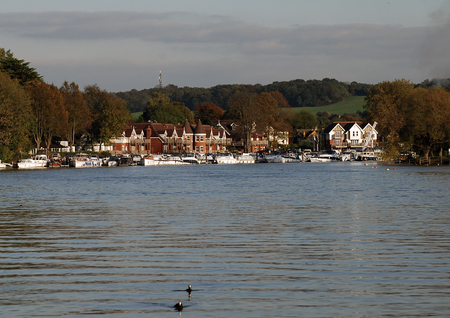 Bourne End, England - October 20 2007:   Two Coots swimming on the Thames at picturesque Bourne Endのeditorial素材