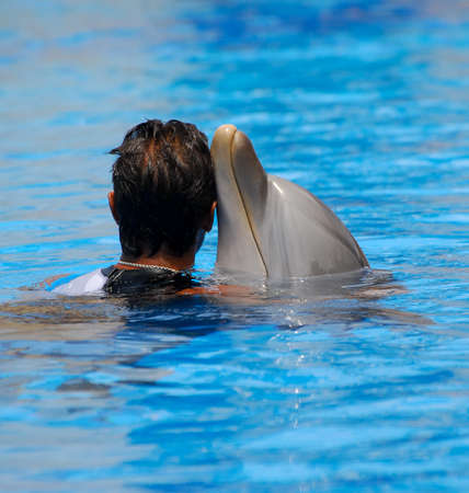Benidorm, Spain - July 24 2012:  Dolphin and animal trainer in a pool at Aqualandiaのeditorial素材