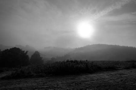 Monochrome image of a misty sunrise over the fields of Puddington in Devonの写真素材