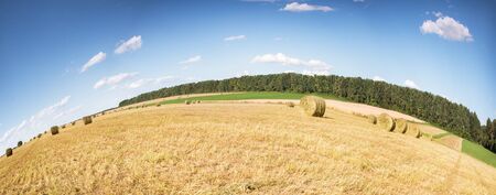 Bales of straw on the mown pole.Goluboe sky with cloudsの写真素材
