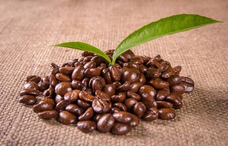 grains and leaves coffee on sackcloth