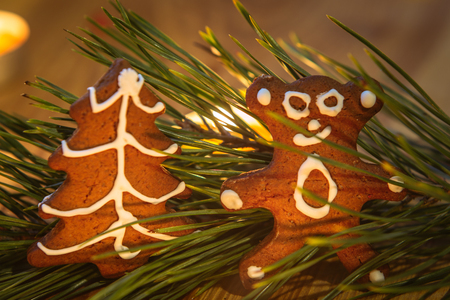 Homemade Christmas cookies - gingerbrea on wooden background