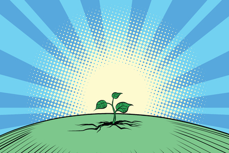 Ecology nature green sproutのイラスト素材