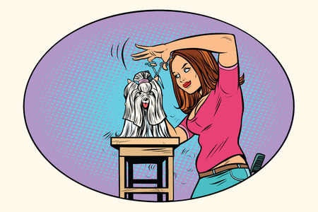 dog grooming, Barber shears pet. Comic book cartoon pop art retro style vector illustrationのイラスト素材