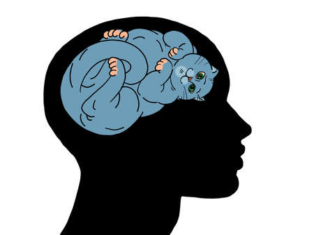 cat is a pet, companion. Thoughts in the silhouette of the head, dreams.